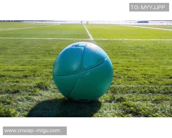 足球黑白之间的较量与激情探秘球场上的光影交错与人生哲学